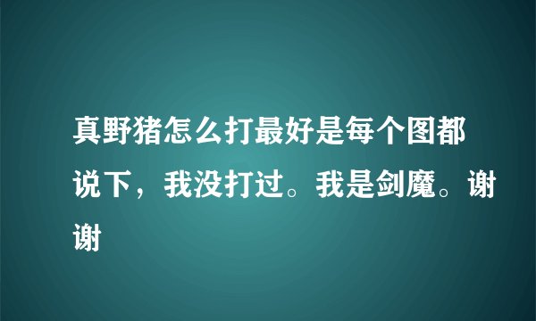 真野猪怎么打最好是每个图都说下，我没打过。我是剑魔。谢谢