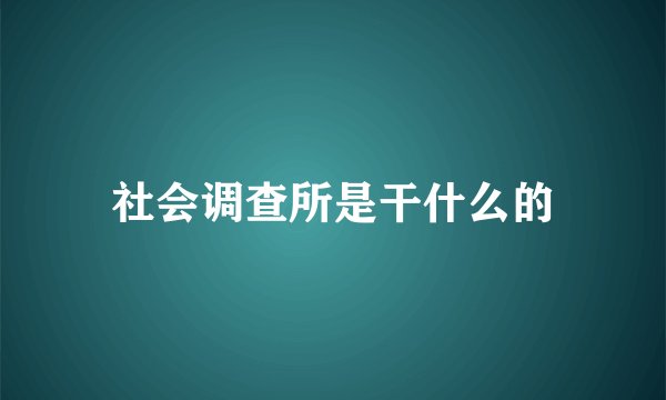 社会调查所是干什么的