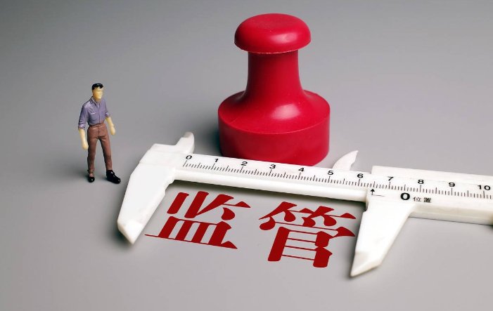 监管是什么意思