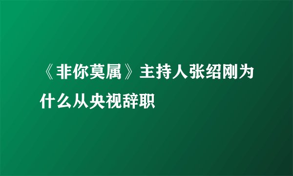 《非你莫属》主持人张绍刚为什么从央视辞职