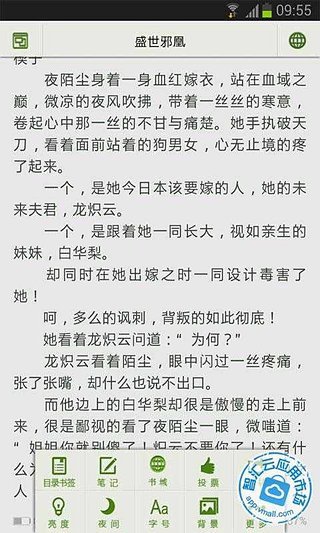 盛世邪凰的介绍