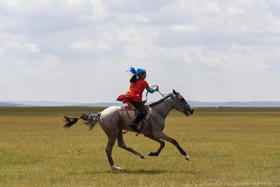 骋的意思和含义