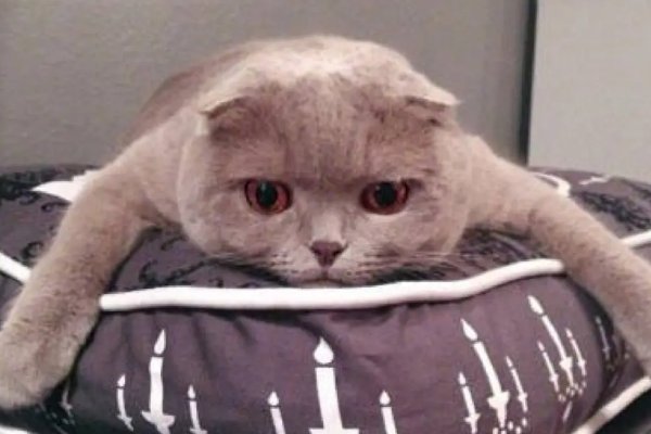 lei的一二三四声调汉字