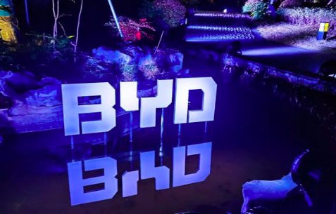 byd梗是什么意思？