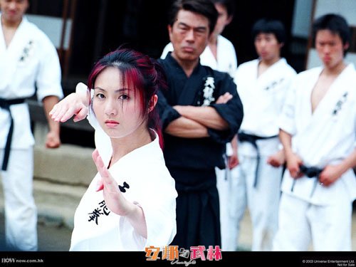 安娜与武林的剧情简介