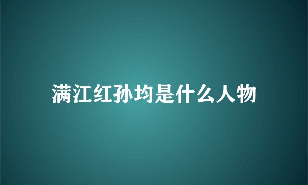 满江红孙均是什么人物