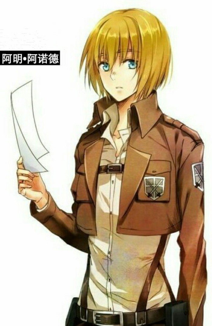 阿明·阿诺德的重大表现