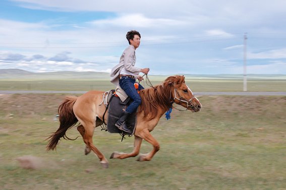 骋的意思和含义