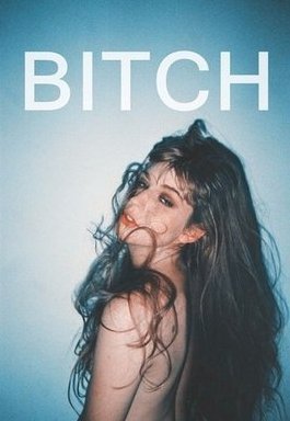 bitch是什么意思啊？