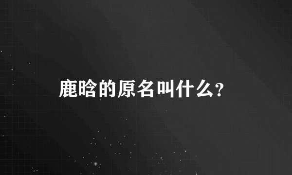 鹿晗的原名叫什么？