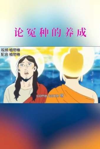 “怨种”和“冤种”有什么区别?