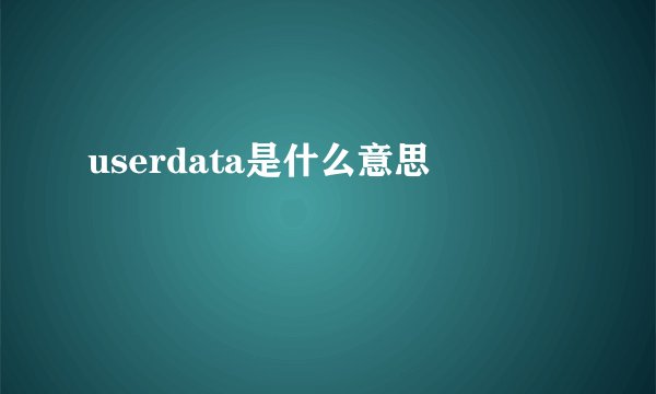 userdata是什么意思