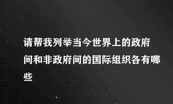 请帮我列举当今世界上的政府间和非政府间的国际组织各有哪些