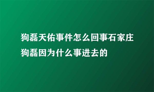 狗磊天佑事件怎么回事石家庄狗磊因为什么事进去的