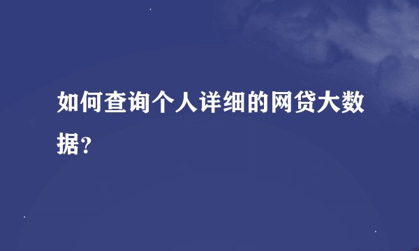 如何查询个人详细的网贷大数据？