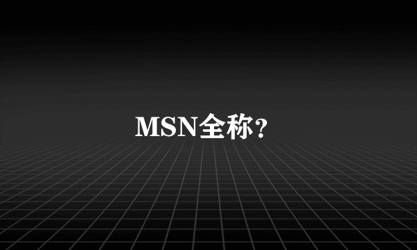MSN全称？
