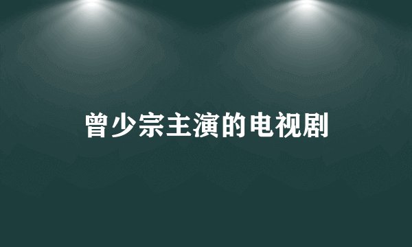 曾少宗主演的电视剧