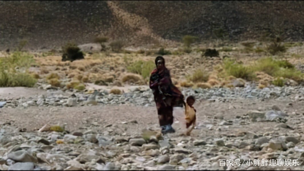 震撼人心《沙漠之花》，究竟讲了些什么？