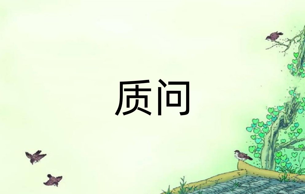 质问是什么意思啊