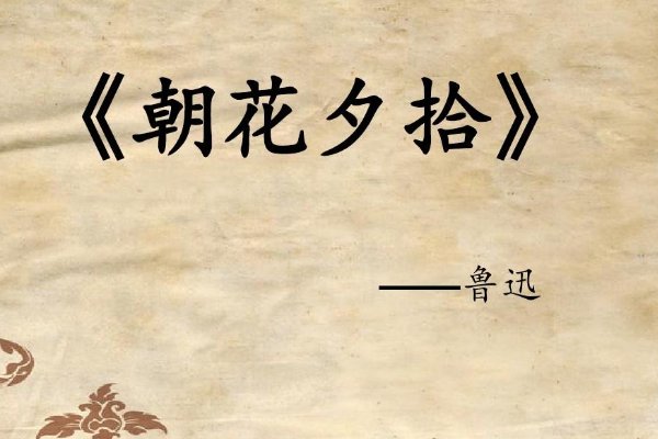 狗·猫·鼠的含义是什么？