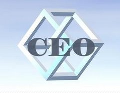 CEO和CFO谁大？