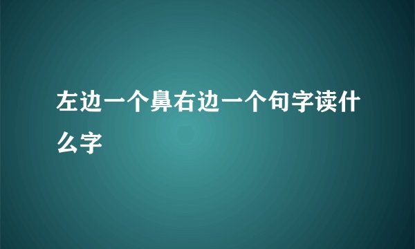 左边一个鼻右边一个句字读什么字