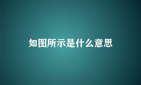 如图所示是什么意思