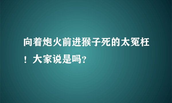 向着炮火前进猴子死的太冤枉！大家说是吗？
