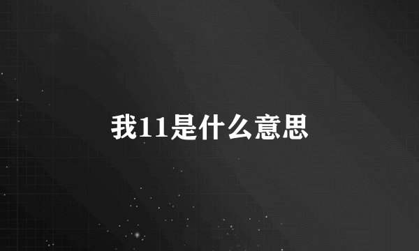 我11是什么意思