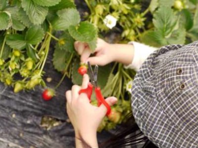 掰、扔、扛、扔各是什么意思？