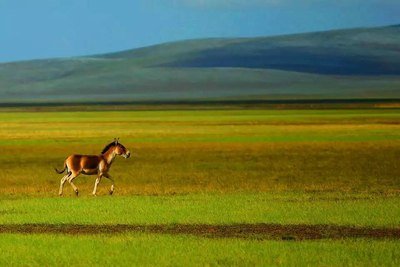 全国极端高温！但有三地却“七月飘雪”，这正常吗？