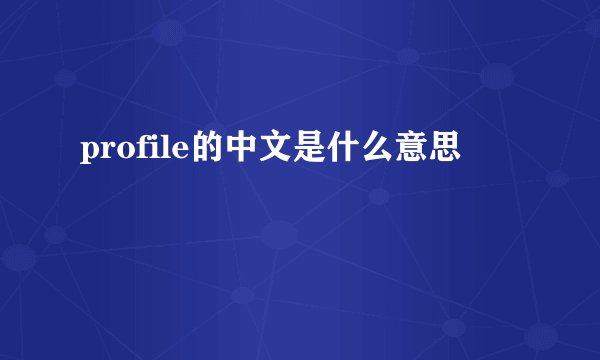 profile的中文是什么意思