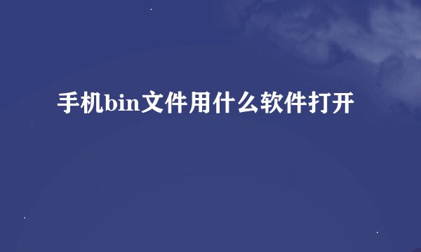 手机bin文件用什么软件打开