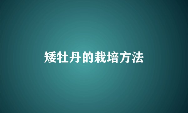 矮牡丹的栽培方法