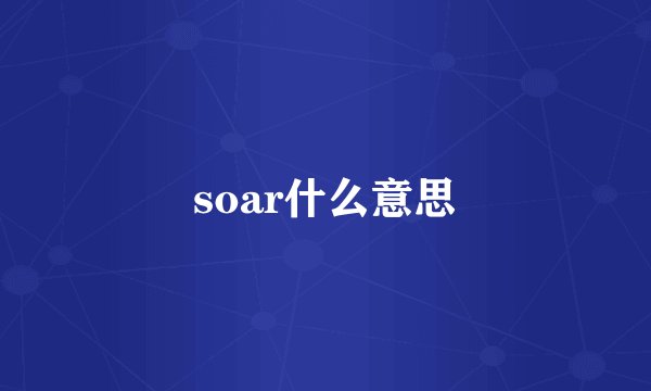 soar什么意思