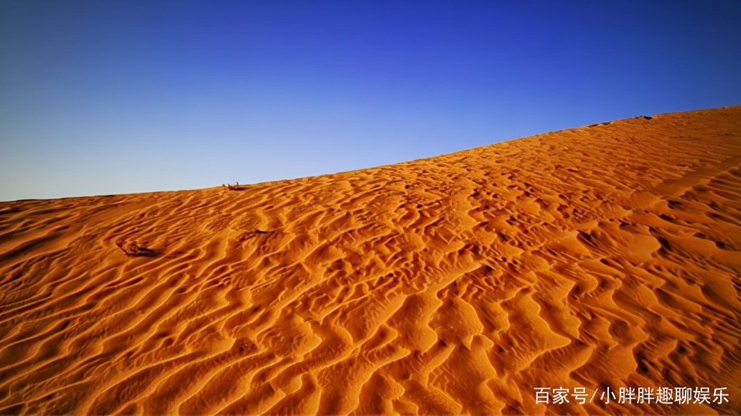 震撼人心《沙漠之花》，究竟讲了些什么？