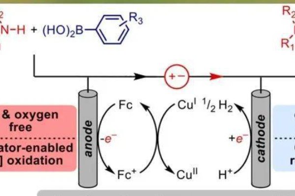 偶合反应是什么意思