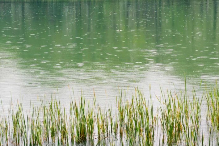 春风化雨润物无声的意思