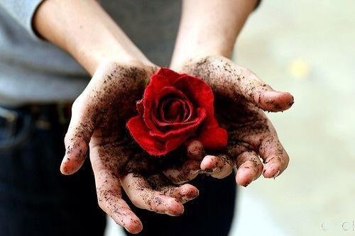 “赠人余香”什么意思？