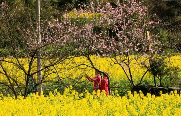 色字能组出哪些词语