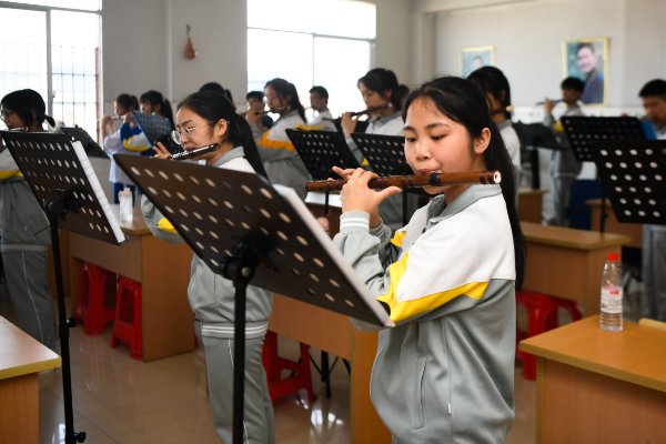 ost的中文翻译是什么意思？