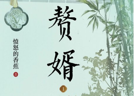 赘婿结局是什么