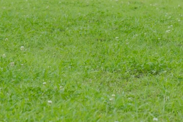 坪的拼音怎么写