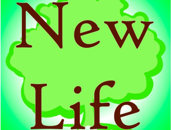 newlife是什么意思