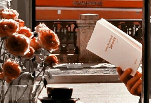 陆承洲帮顾芒揉腰是第几章