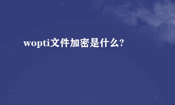 wopti文件加密是什么?