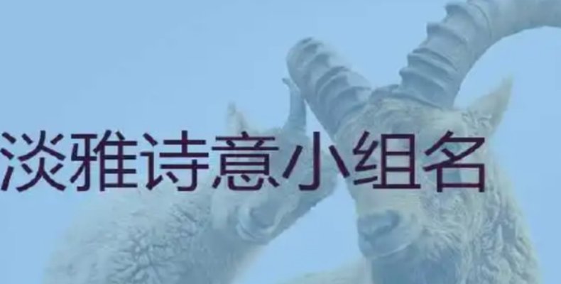 淡雅诗意小组名四个字