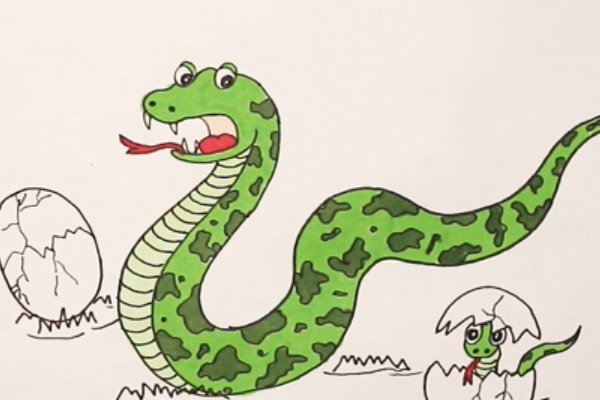 蛇怎么画最简单