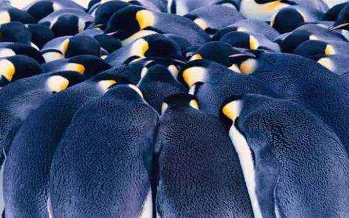 今冬明春湖南省电力供应形势紧张，你觉得该如何解决这一问题？