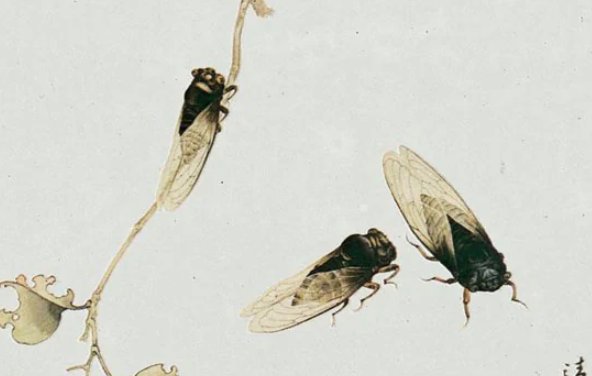 古诗《蝉》注音版